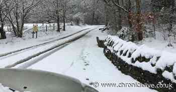 This is where gritters will be in the North East tonight as snow brought the region to a standstill
