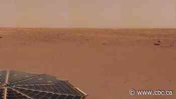 'We've seen some weird stuff': Scientists release 1st findings from Mars InSight mission