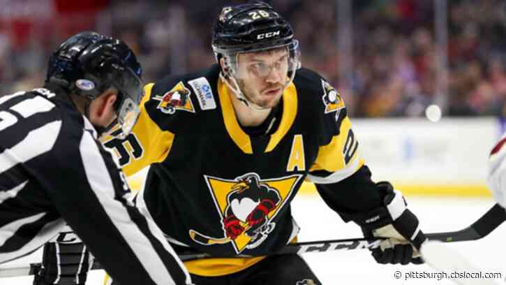 Anaheim Ducks Claim Forward Andrew Agozzino From Pittsburgh Penguins