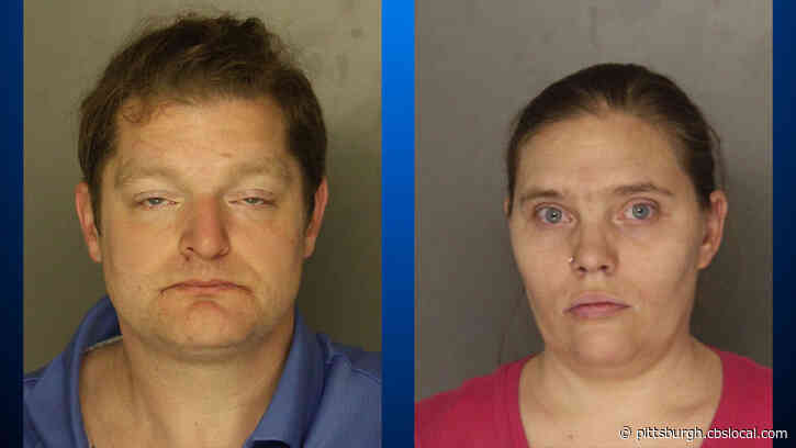 Duquesne Couple Accused Of Beating Dog So Badly It Had To Be Euthanized