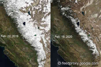 California's Snowpack Shrivels, Raising Fears of Future Wildfires