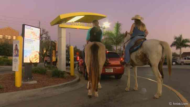 Giddy Up! Horses visit McDonald’s drive thru in Florida