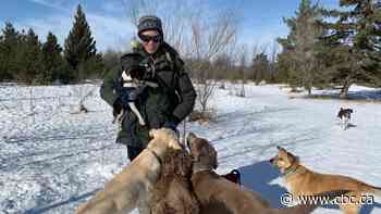 Council asks for more research on plan to restrict off-leash dogs in parks