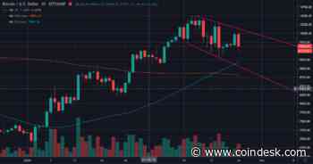 Bitcoin’s Coronavirus Selloff Throws Cold Water on Safe-Haven Argument
