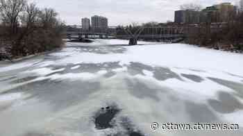 Warmer temperatures in store for Ottawa - CTV News