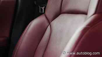 The bestselling leather conditioner on Amazon is less than $20 a bottle