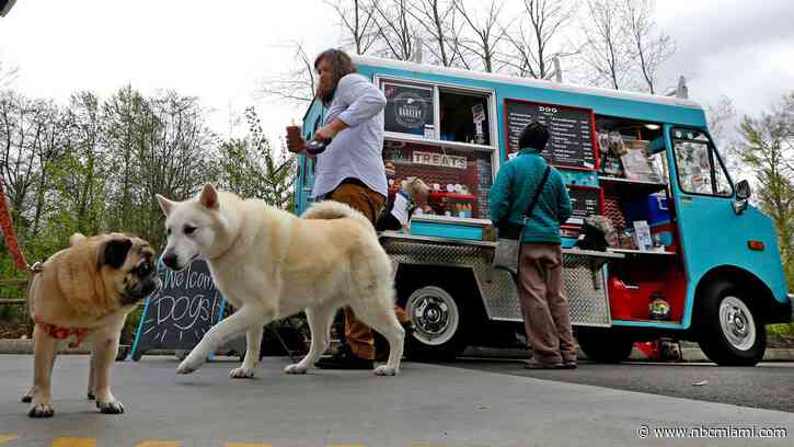 Food Truck Trend Moves Beyond Humans, Caters to Canines in Seattle