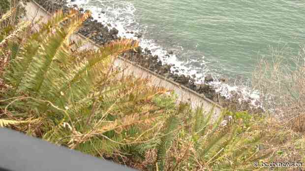Man from Alberta dies after falling onto Stanley Park seawall