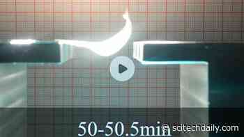 ‘Flapping Wings’ Powered by the Sun – Could Be Used for Solar Energy Harvesting