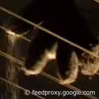 The Instrument That Makes The Earth Sing