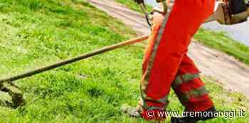 Iniziati oggi gli sfalci dell'erba in varie zone della città - Cremonaoggi