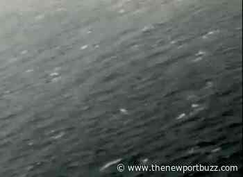 Coast Guard searching for 2 missing Rhode Island boaters in Florida - Newport Buzz