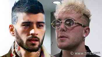 Zayn Malik & Jake Paul Beef Sparked by Drunken Hotel Run-In