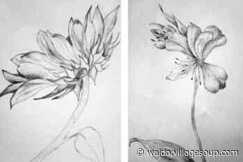 Beginner drawing class with Sandi Cirillo - Belfast - Waldo - Republican Journal - Republican Journal