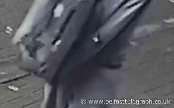 Police release images of two suspects in Belfast burglary - Belfast Telegraph