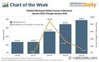 Chart: Montana medical marijuana patient count continues rapid growth - Marijuana Business Daily