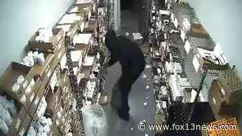 Clearwater medical marijuana burglaries may be tied to four others - FOX 13 Tampa Bay