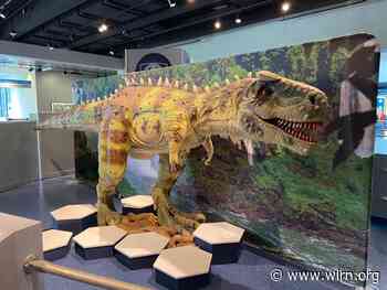 South Florida Medical Fraud, Broward Beach Safety & Dinosaur Climate Change Exhibit - WLRN
