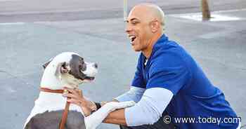 'The Street Vet' offers free medical care to pets of the homeless - Today.com