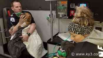 PHOTOS: Taney County emergency medical workers care for dogs after a fire - KY3