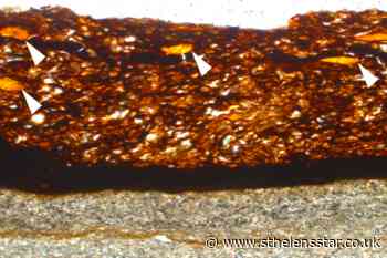 First example of fossilised plant gum found by PhD student - St Helens Star