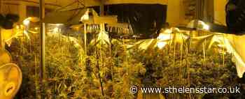 Cannabis farm uncovered in Whiston - St Helens Star