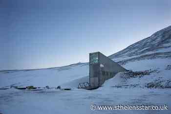 Wild meadow seeds from Highgrove sent to Arctic 'doomsday vault' - St Helens Star