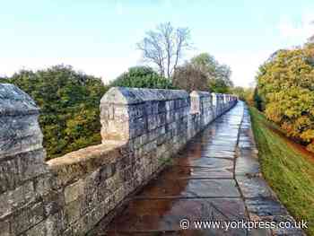 Rainbow display in York to mark LGBT+ Adoption and Fostering Week