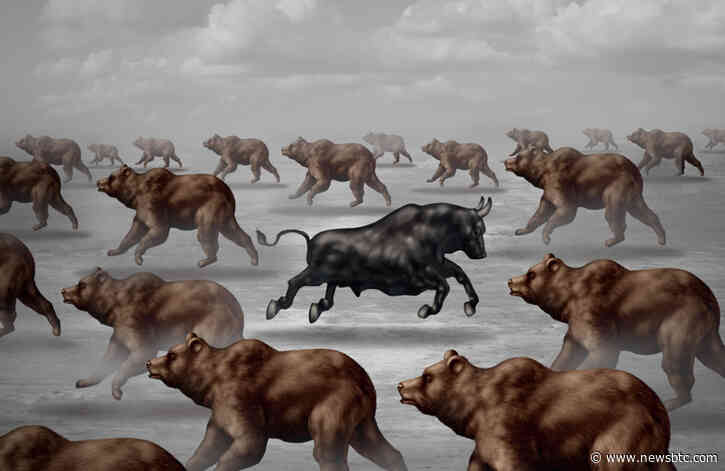 Retail Crypto Sentiment Flips Bearish For First Time in 2020