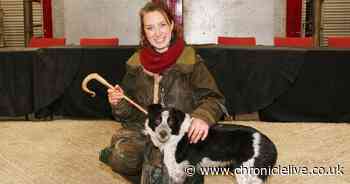 Northumberland sheepdog breaks world record after selling for nearly £19,000