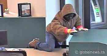 RCMP search for man accused of robbing Alberta bank with bear spray