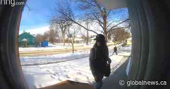 Doorbell camera captures porch pirate taken down by Edmonton police - Global News