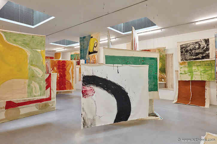 Vivian Suter’s Painting-Based Installations Register the Volatility of Nature