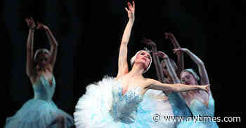 At New York City Ballet, Swans Use Grit to Find Glory