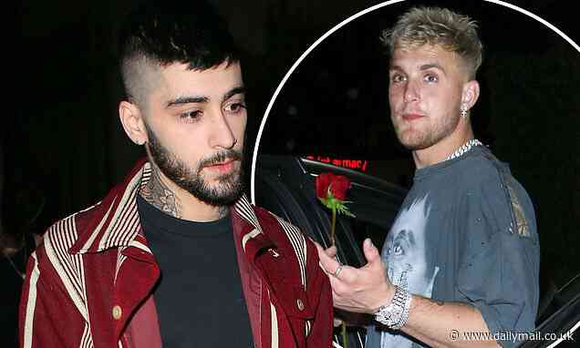 Zayn Malik's feud with Jake Paul 'was sparked by a hotel run-in' - Daily Mail