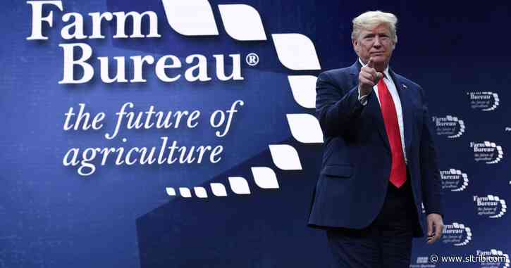 Paul Krugman: Republican cynicism may win Trump reelection