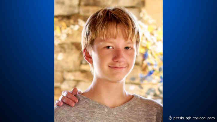 Westmoreland Co. Teen Who Was 14 When He Killed Mom, Brother Pleads Guilty But Mentally Ill