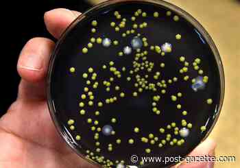 Legionnaires' case prompts cautious county to test water