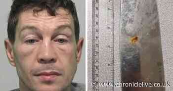 Thief caught in the act stealing garden equipment and cutting down CCTV cameras in Sunderland