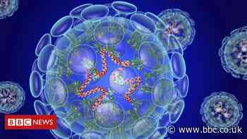 Coronavirus: NI pupils sent home after school trips to Italy