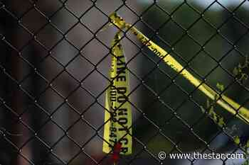 Pedestrian, 79, dead in Sunday collision, Toronto police say - Toronto Star