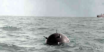 Prijsanalyse bitcoin: In de ban van het coronavirus - Iex.nl