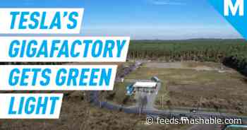 Tesla's Gigafactory Berlin is a go as court dismisses environmental challenge