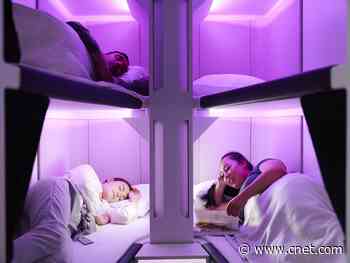 Air New Zealand Skynest sleep pods would make economy class more classy     - CNET