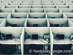 Survey of H-1B visa holders at Apple, other tech companies reveals complicated picture