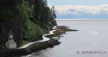 26-year-old Alberta man dead after falling onto Vancouver’s seawall