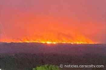 Incendios y deforestación: lo que está pasando en La Macarena es “una monstruosidad” - Noticias Caracol
