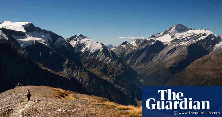 Alpine ecosystems at risk as tahr population booms in New Zealand