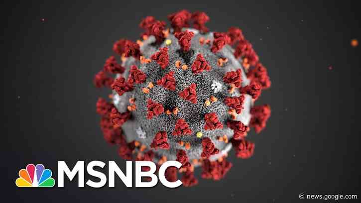 'It's Not If, It's When': CDC Warns Spread Of Coronavirus In U.S. Is Inevitable | Katy Tur | MSNBC - MSNBC
