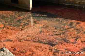 Cause of Baltimore Inner Harbor oil spill unclear, cleanup continues - WTOP